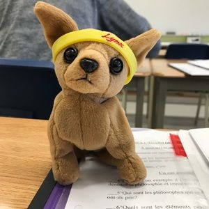 Meet your Posher, Meagan